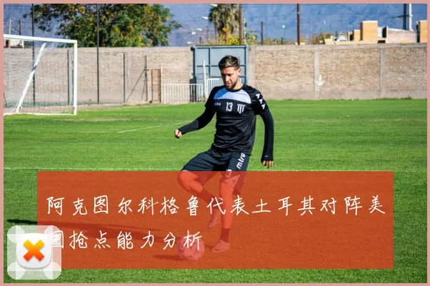 阿克图尔科格鲁代表土耳其对阵美国抢点能力分析