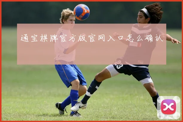 通宝棋牌官方版官网入口怎么确认