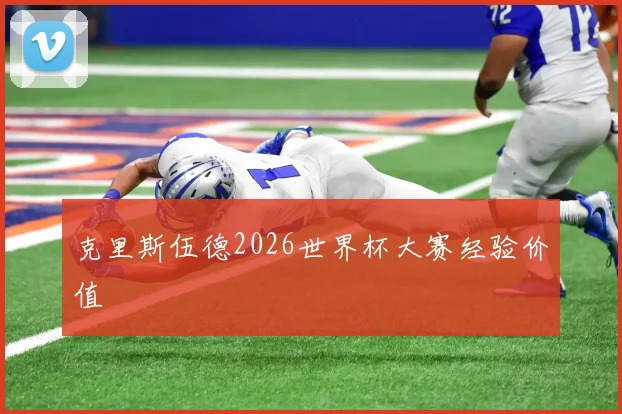克里斯伍德2026世界杯大赛经验价值