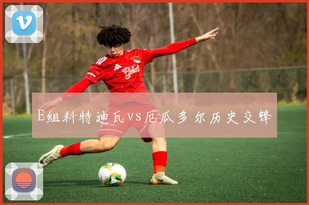 E组科特迪瓦vs厄瓜多尔历史交锋