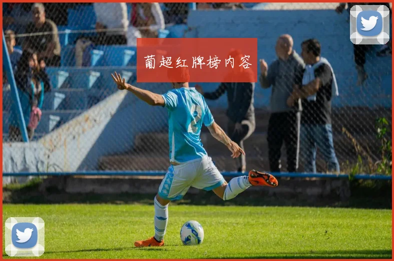 葡超红牌榜内容